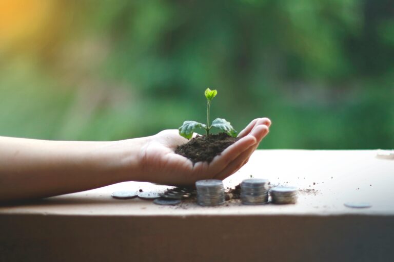 Hand holding a green seedling, symbolizing sustainable finance and eco-conscious investing.